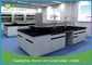 Science Research Modern Laboratory Furniture Lab Island Bench With Full Cabinet